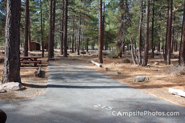 Logger Campground 215