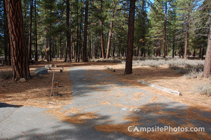 Logger Campground 218