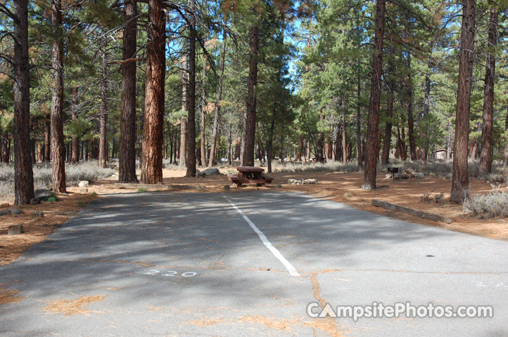 Logger Campground 220 Double
