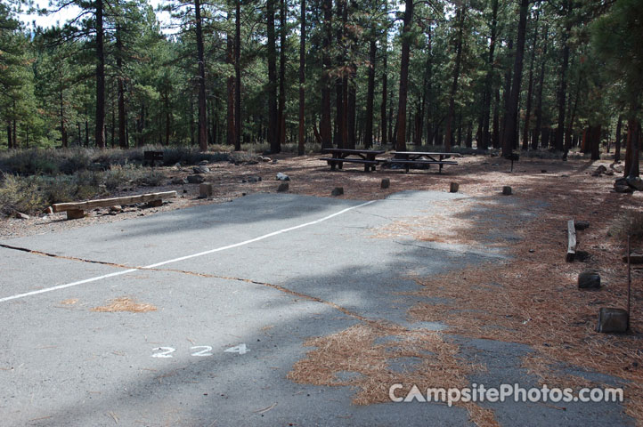 Logger Campground 224 Double