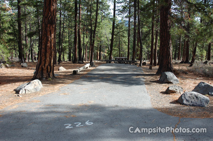 Logger Campground 226