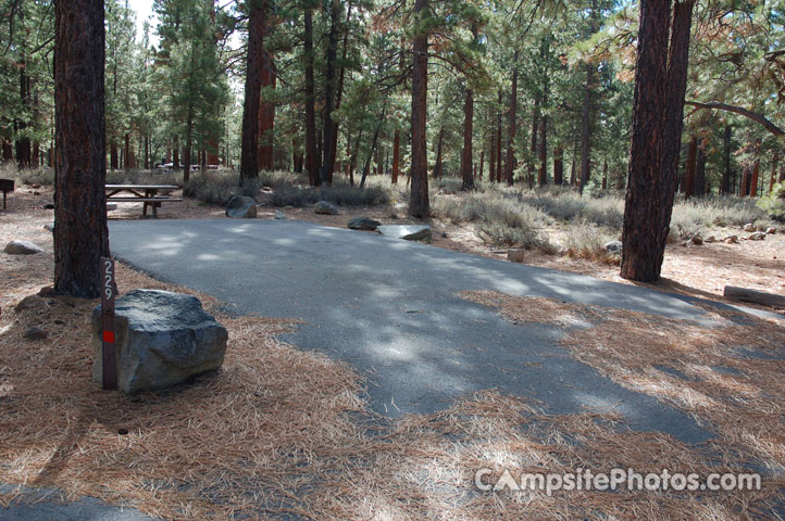 Logger Campground 229