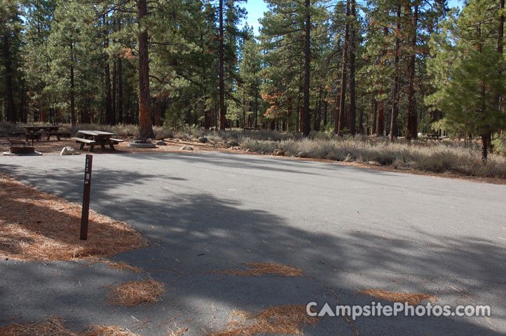 Logger Campground 232 Double