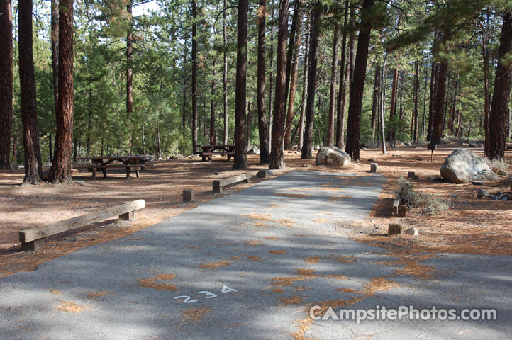 Logger Campground 234