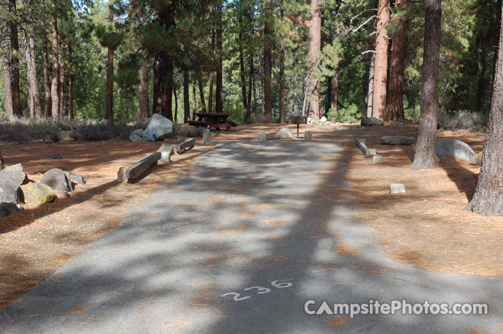Logger Campground 236