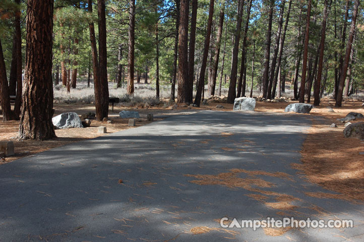 Logger Campground 237