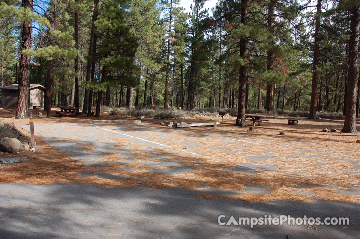 Logger Campground238 Triple