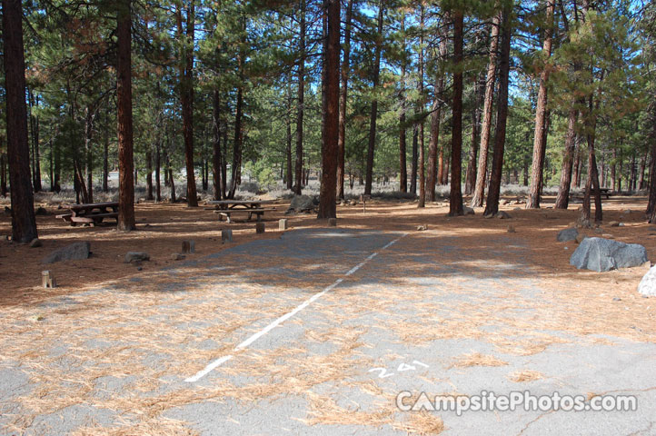 Logger Campground 241 Double