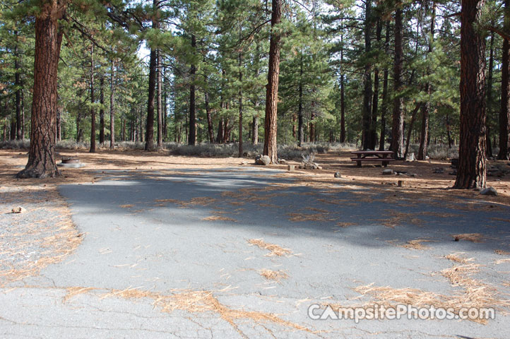 Logger Campground 243 Double