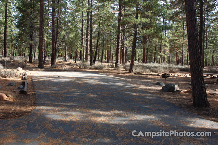 Logger Campground 245