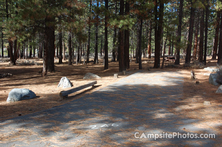 Logger Campground246