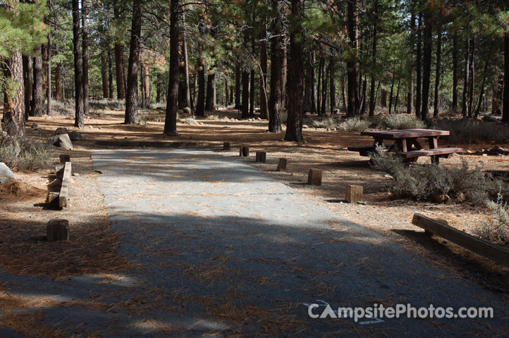 Logger Campground 247