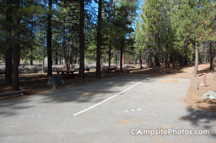 Logger Campground 248 Double