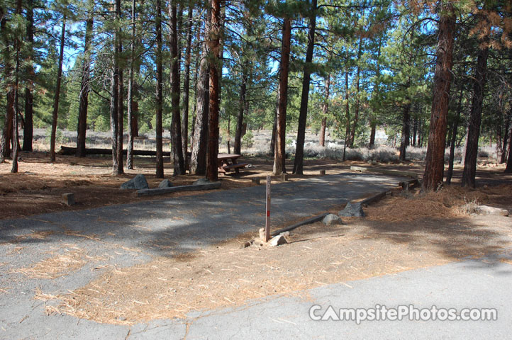 Logger Campground 250