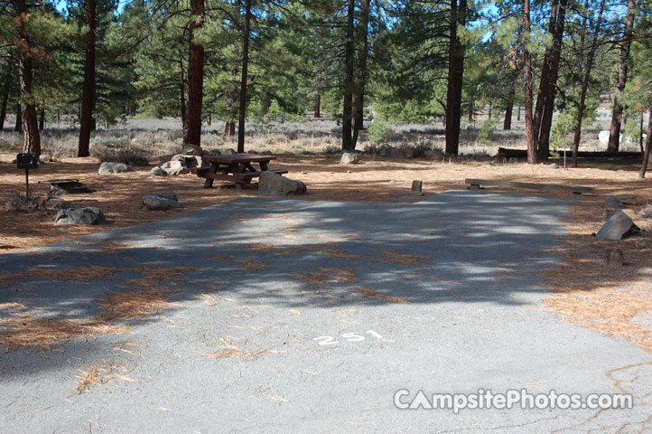 Logger Campground 251 Double