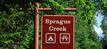 Sprague Creek