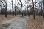 Lake Charles State Park 011