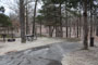 Lake Charles State Park 012