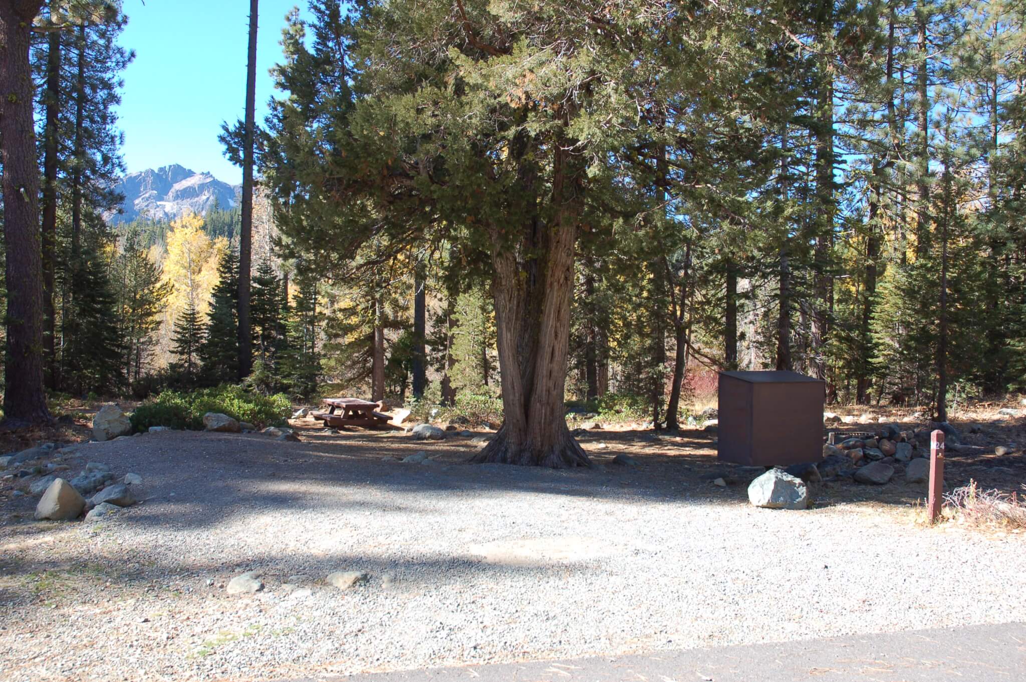 Salmon Creek Campground Site 24