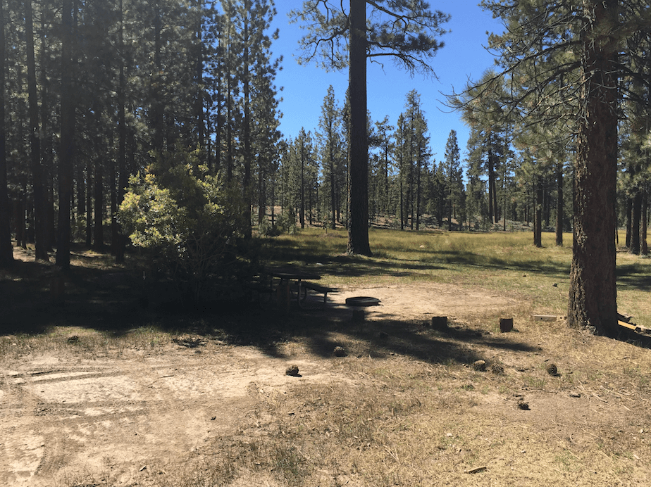 Big Bear Lake Area Campgrounds - Big Pine Flat 19