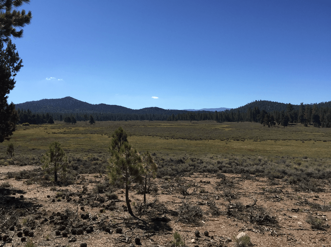 Big Bear Lake Area Campgrounds - Holcomb Valley View