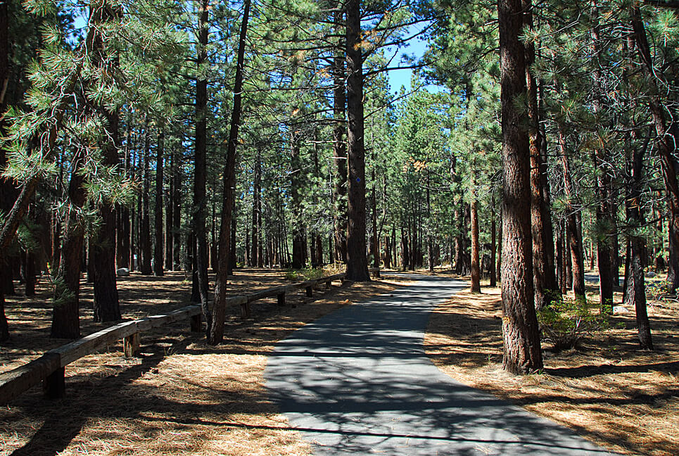 The Best Mammoth Lakes Area Campgrounds New Shady Rest Bike Trail