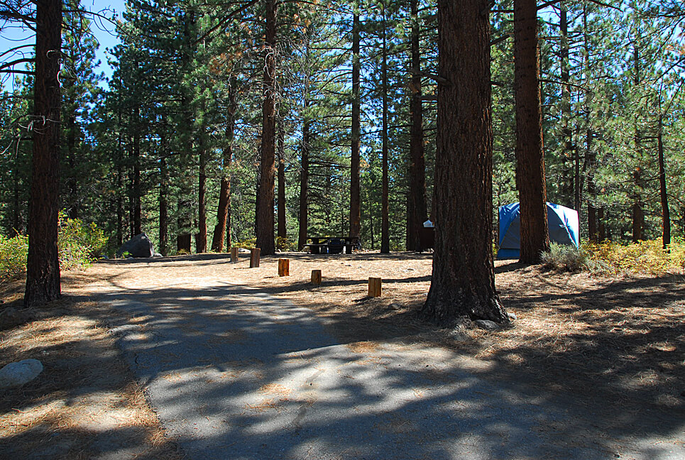 The Best Mammoth Lakes Area Campgrounds New Shady Rest Campsite 148