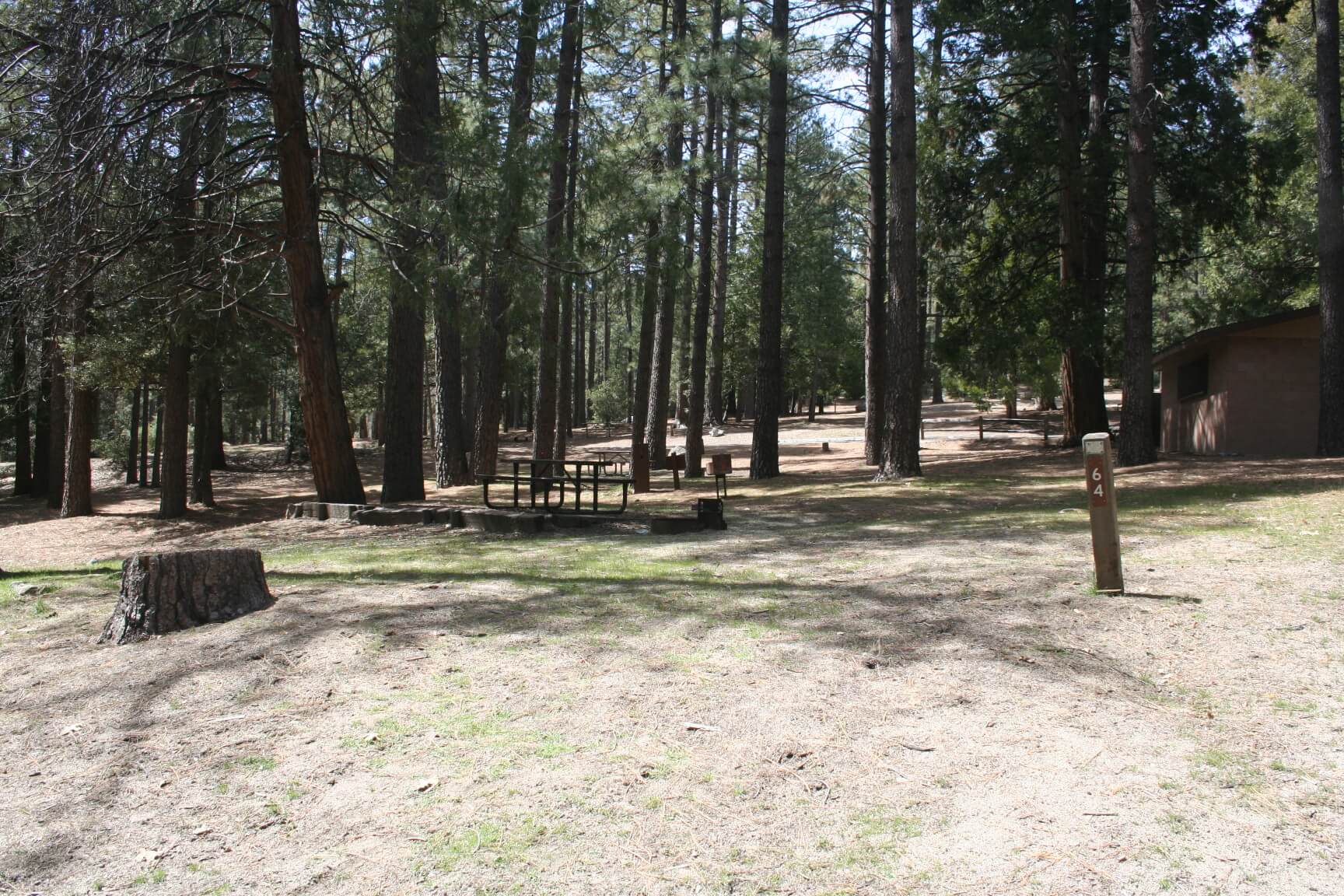 iverside County Parks Campgrounds_Idyllwild Park Campsite 64