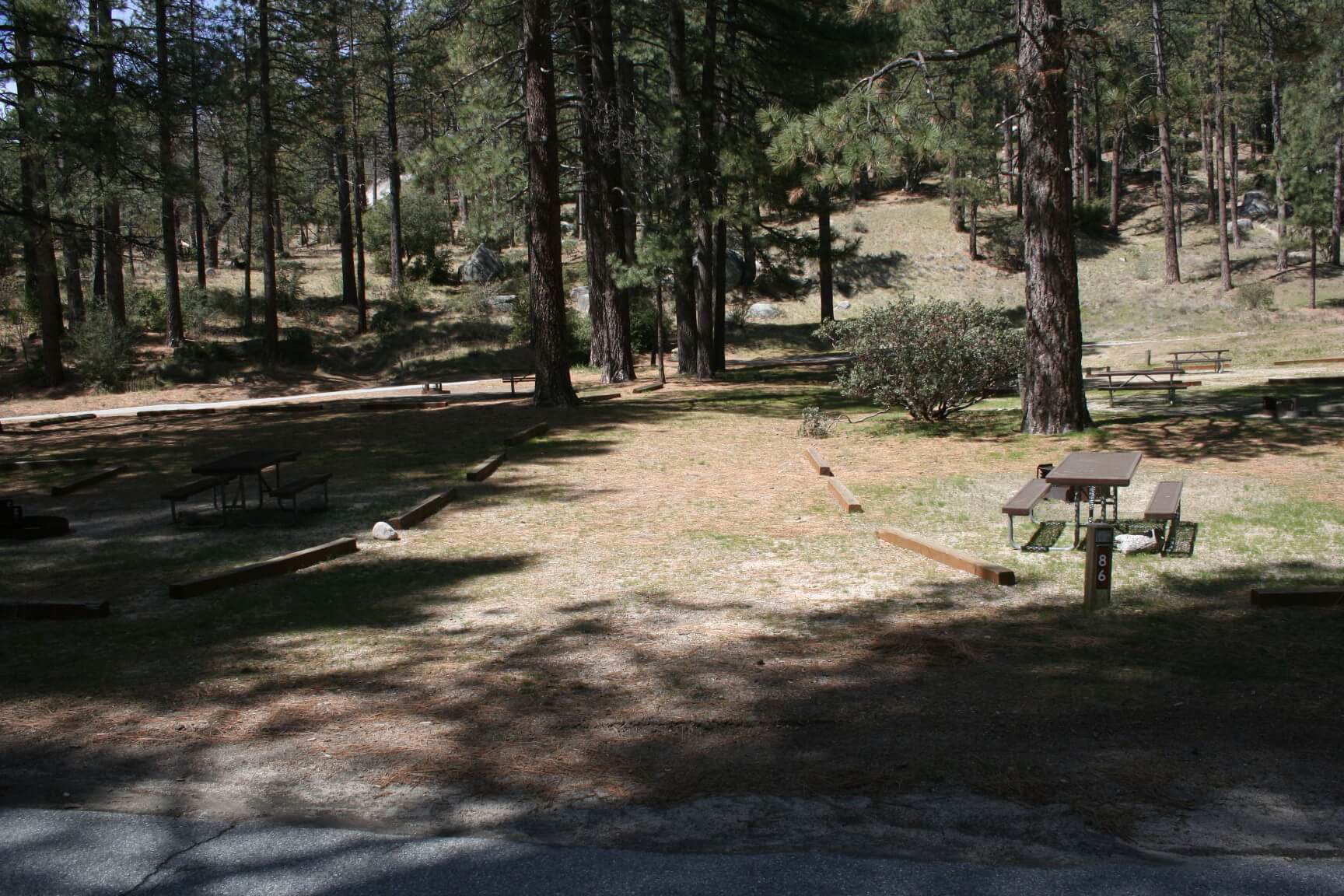 Riverside County Parks Campgrounds_Idyllwild Park Campsite 86