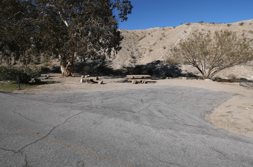 Lake Mead National Recreation Area Campgrounds-Cottonwood Cove Site 12