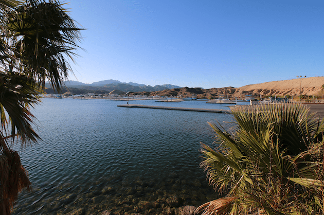Lake Mead National Recreation Area Campgrounds-Katherine Landing Marina
