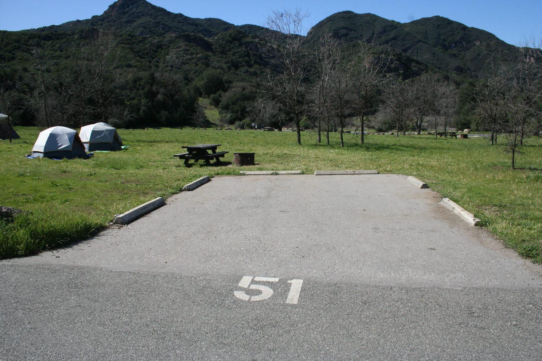 Leo Carrillo & Malibu Creek Campgrounds Are Now Open For Camping - Malibu Creek Site 51 Before Fire