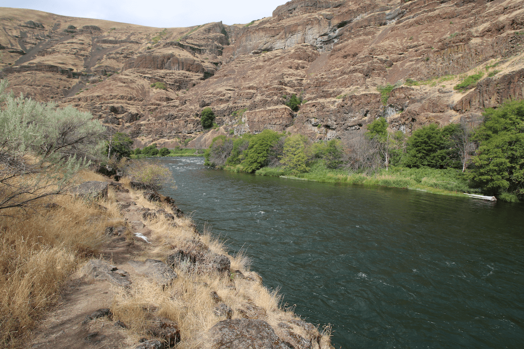 Best Lower Deschutes River Campgrounds - Twin Springs River View