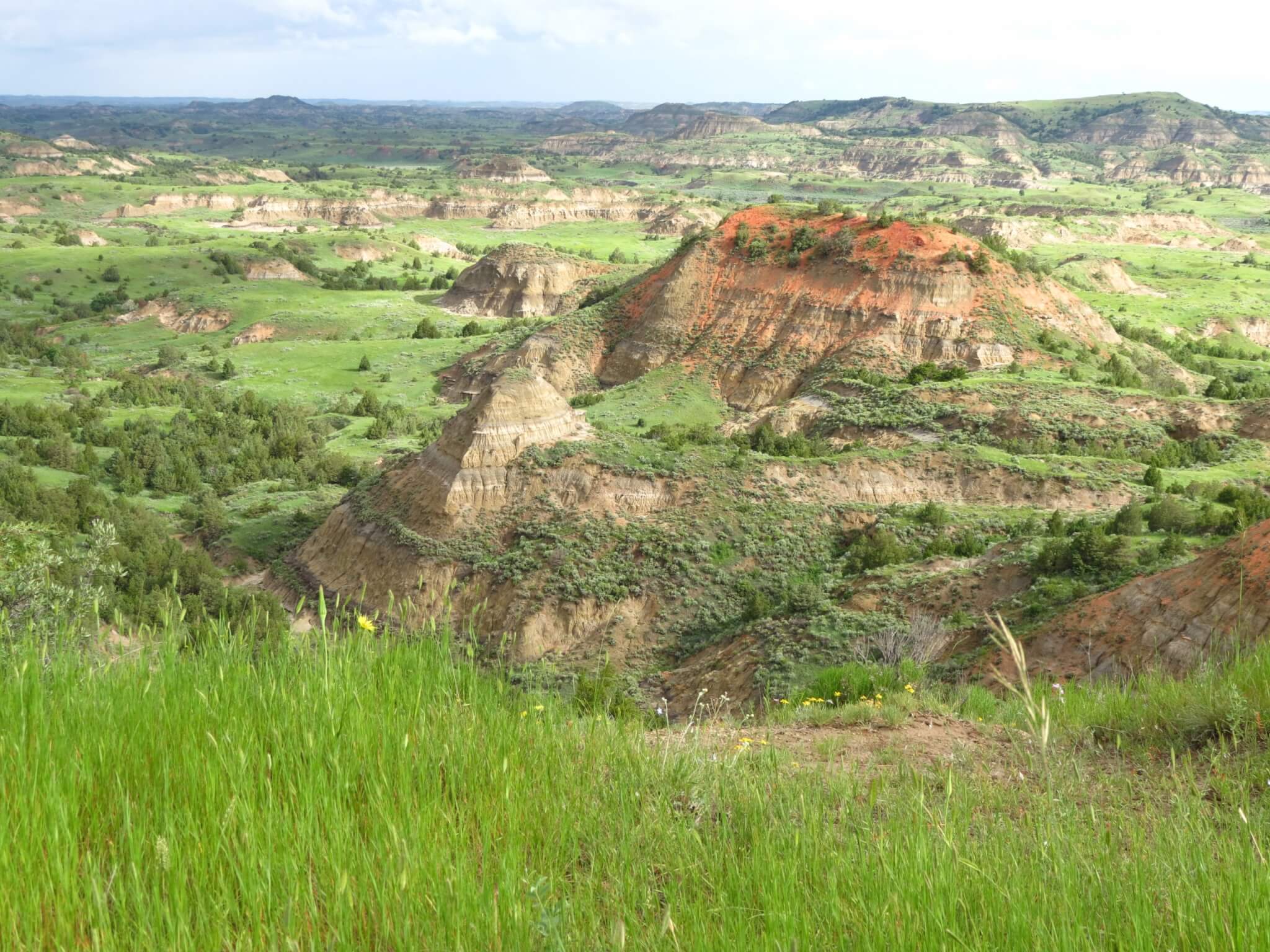 2021 National Park FREE Days! -Theodore Roosevelt National Park