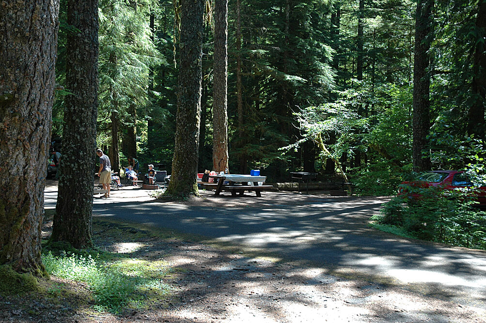 Best Campgrounds Near Mt. Hood - Lost Creek Site 2