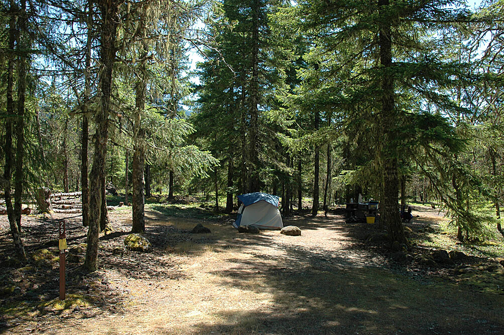Best Campgrounds Near Mt. Hood - McNeil Site 29