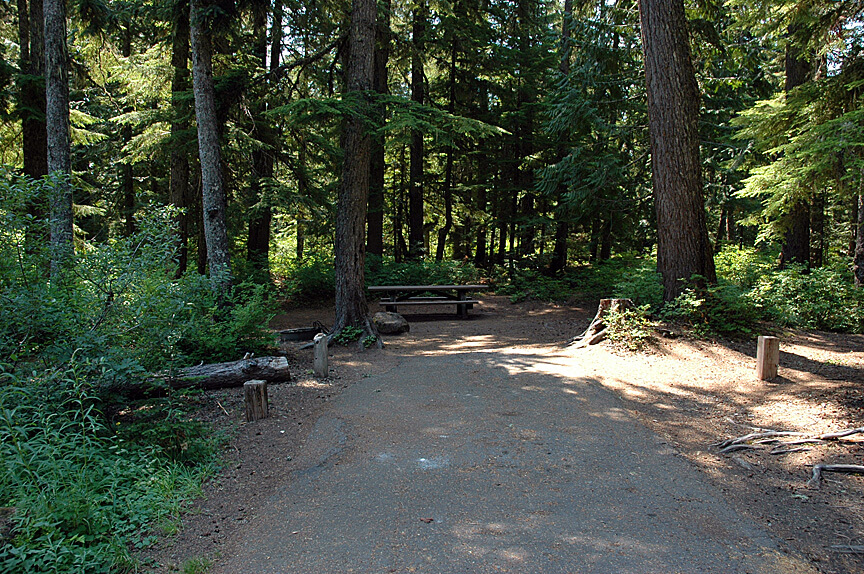 Best Campgrounds Near Mt. Hood - Still Creek Site 26