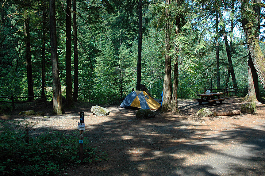 Best Campgrounds Near Mt. Hood - Tollgate Site 9