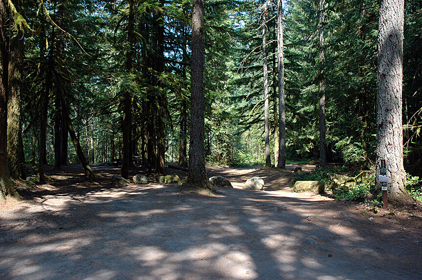 Best Campgrounds Near Mt. Hood - Tollgate Site 12