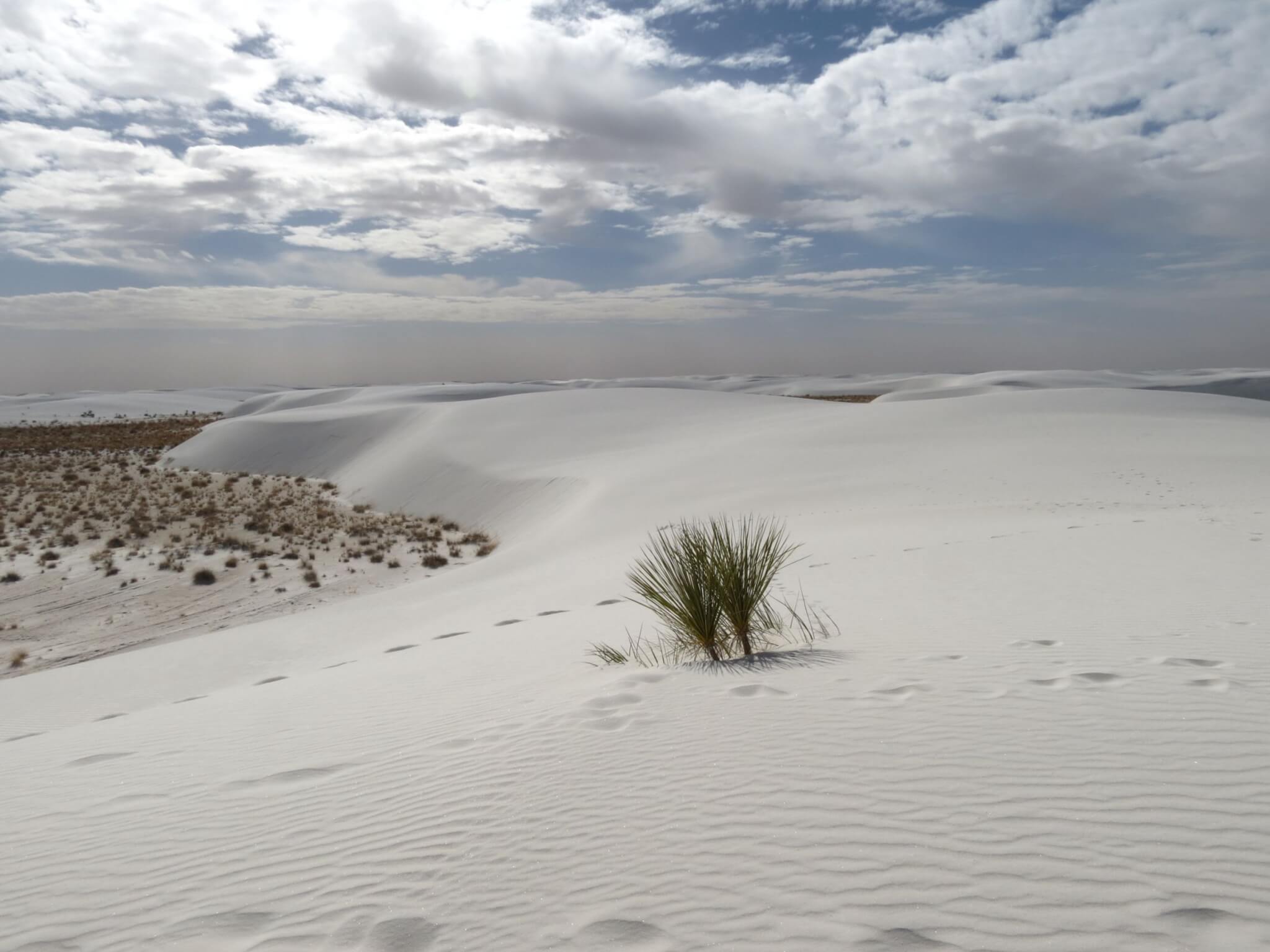 White Sands National Park - Backcountry Camping Loop Trail