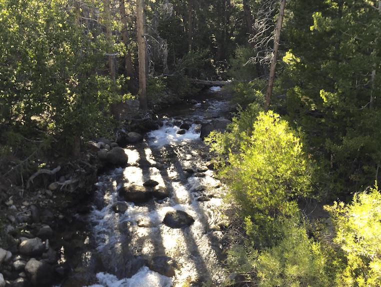 The Best Campgrounds Near Bridgeport-Buckeye Creek View