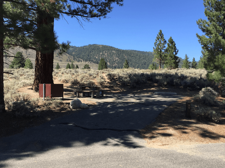 The Best Campgrounds Near Bridgeport-Robinson Creek North_050