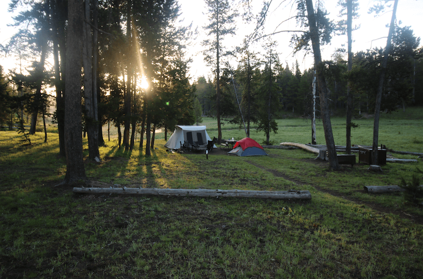 Camping Fever Camping Dreams - Norris Campground - Yellowstone NP