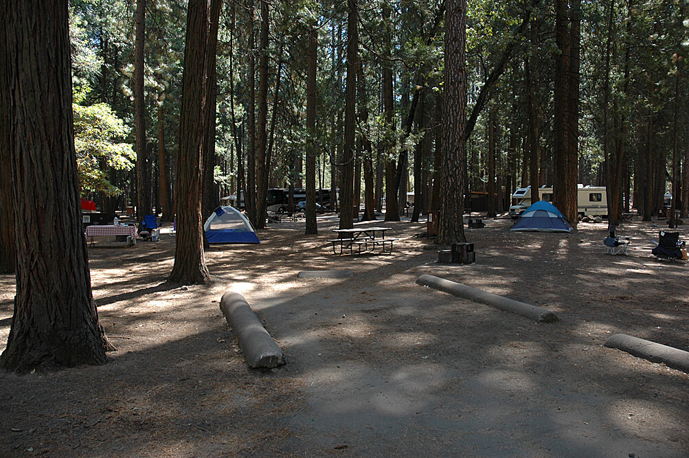 Yosemite National Park will reopen Thursday, June 11 - Upper Pines