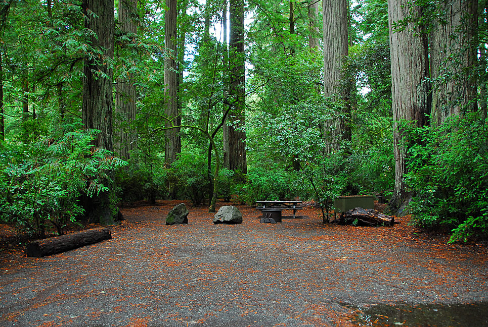 California State Park Campground Status - Jedediah Smith 105