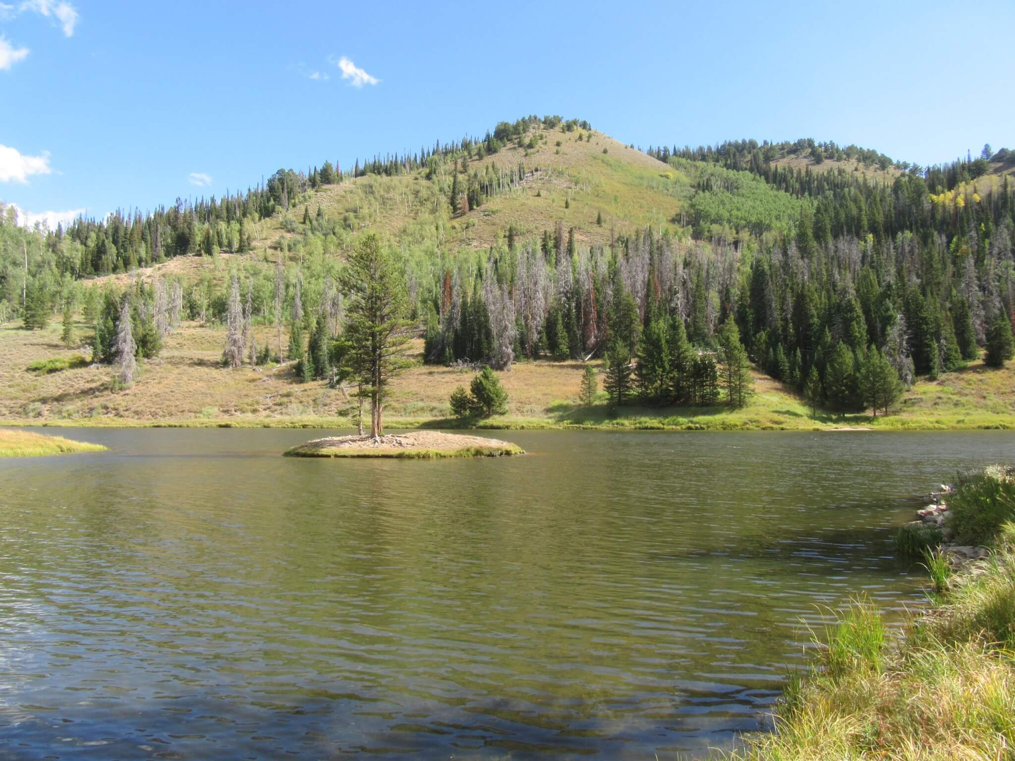 Best Steamboat Springs Area Campgrounds - Hahns Peak
