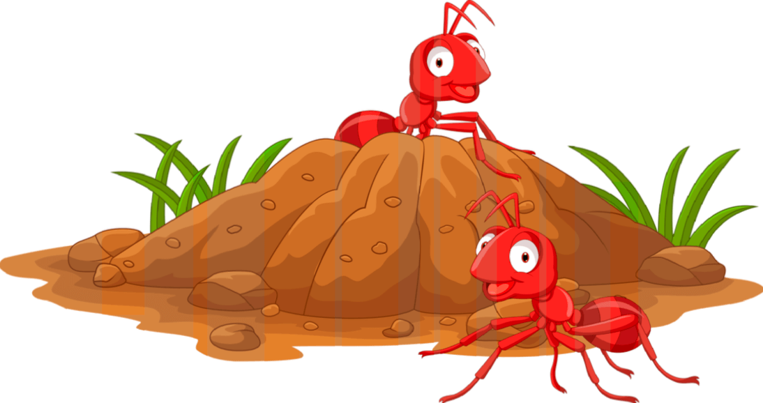  hold myrer ude af din campingplads og RV-1