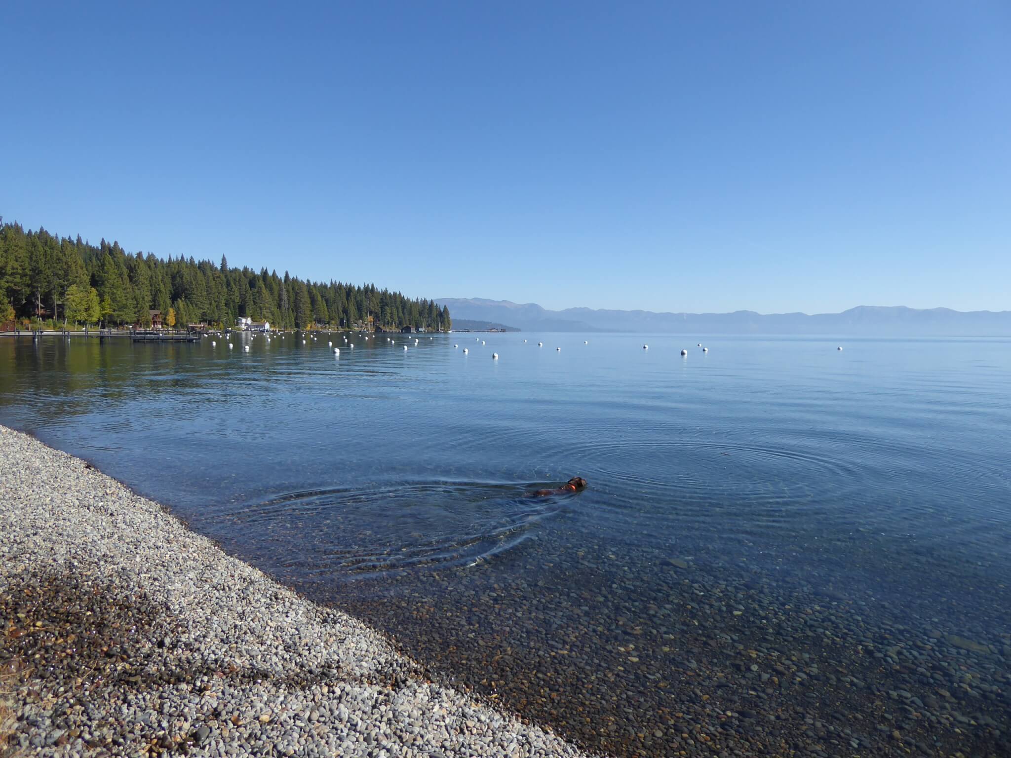 10 Best Lake Tahoe Campgrounds - William Kent