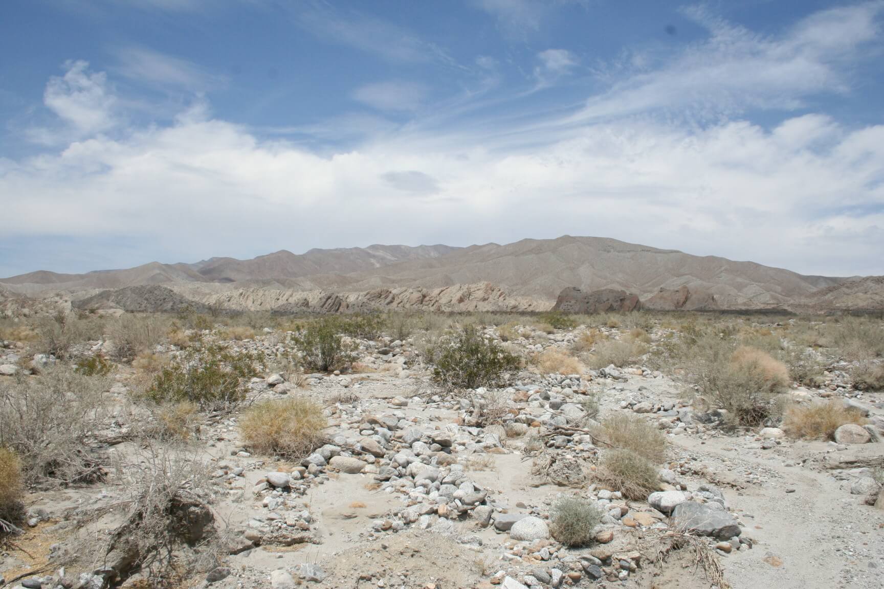 Southern California's Best Campgrounds - Borrego