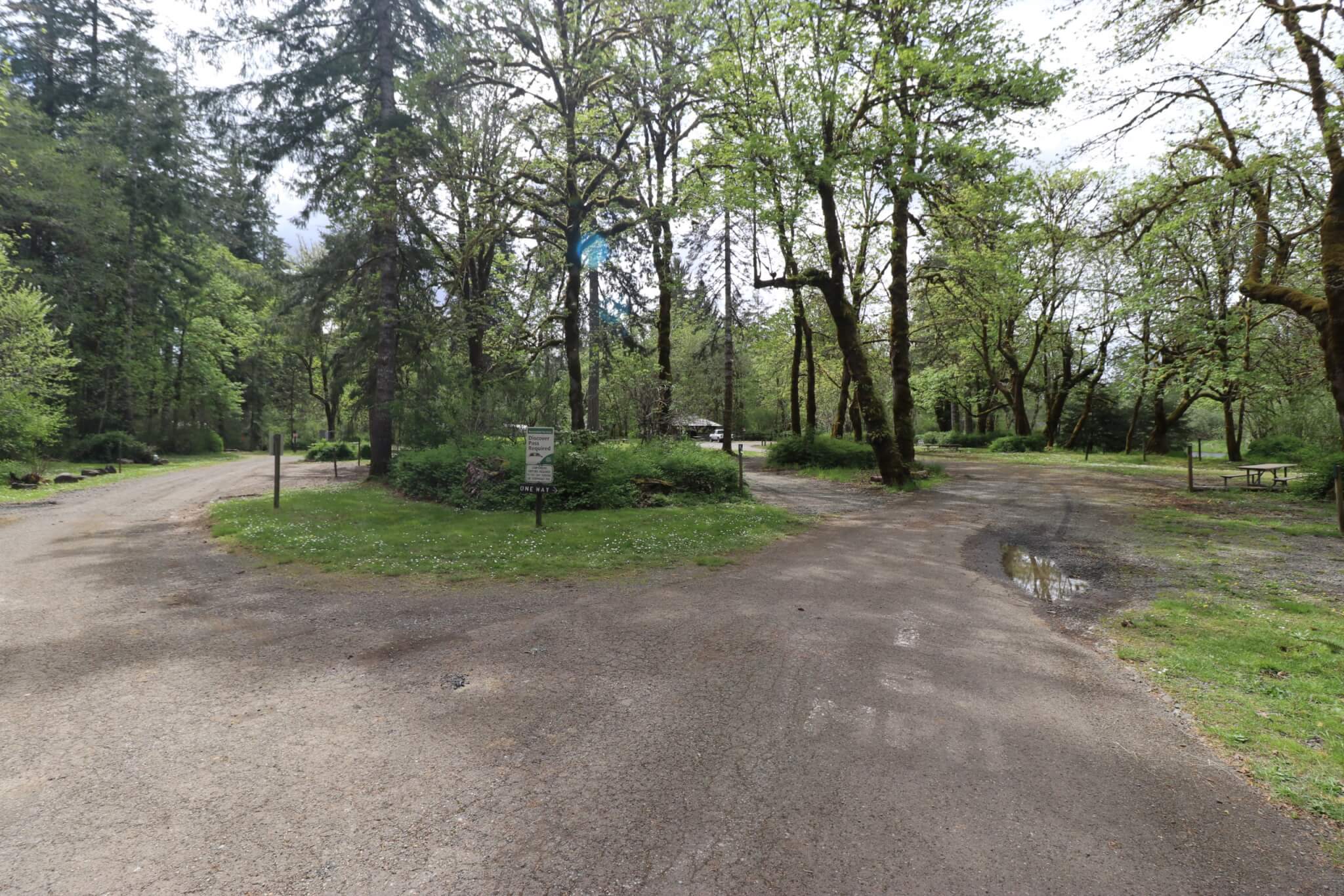 Awesome Campgrounds in the Pacific Northwest and Northern California-Schafer State Park_Campground View